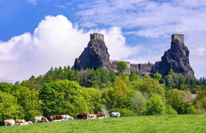 Castle Ruins Košťálov, Jenčice, Czechia, Czech Republic (Czechia)